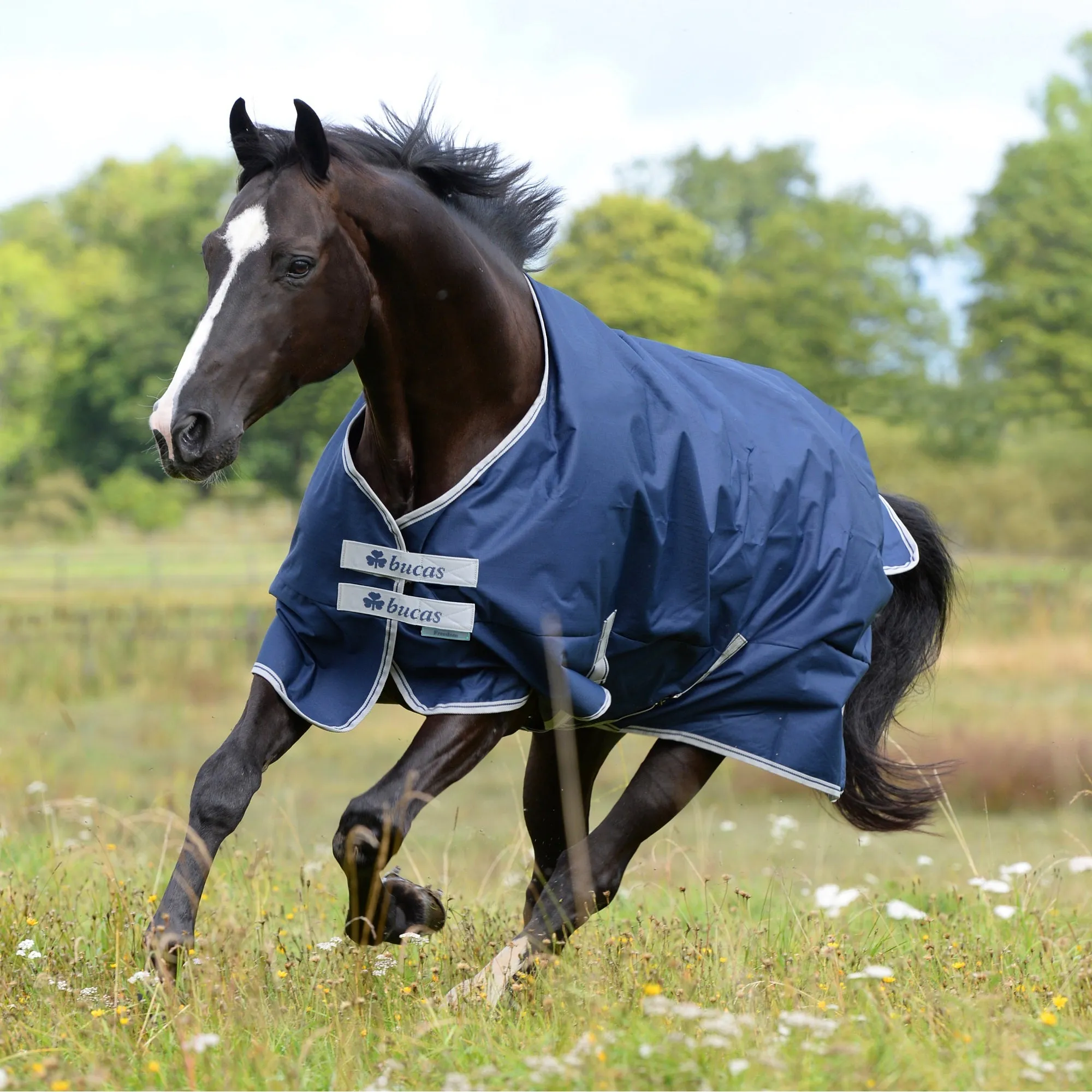Bucas Freedom Turnout - Lightweight